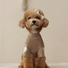 🧸 Cute Bear Love Winter Dog Hoodie – Warm Pet Sweatshirt