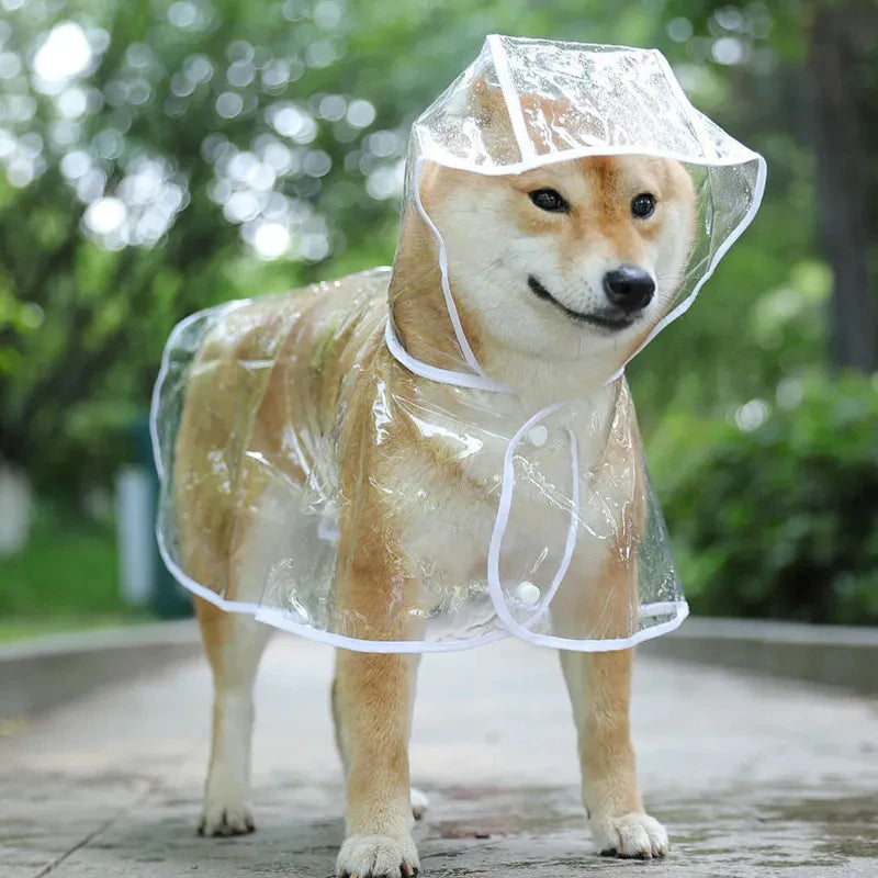 🌧️ ClearView Transparent Dog Raincoat – Lightweight Waterproof
