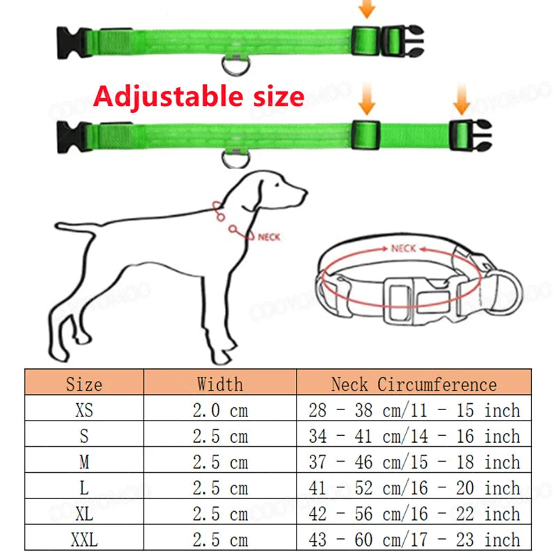 🐶 Quick Release Nylon Dog Collar – Durable Everyday Pet Collar