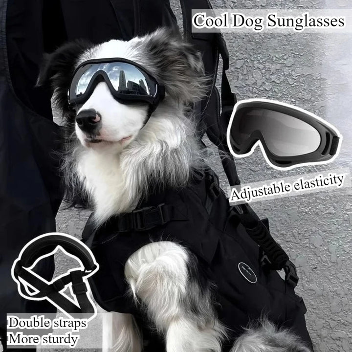 🕶️ UV Protection Dog Goggles – Windproof Outdoor Pet Sunglasses