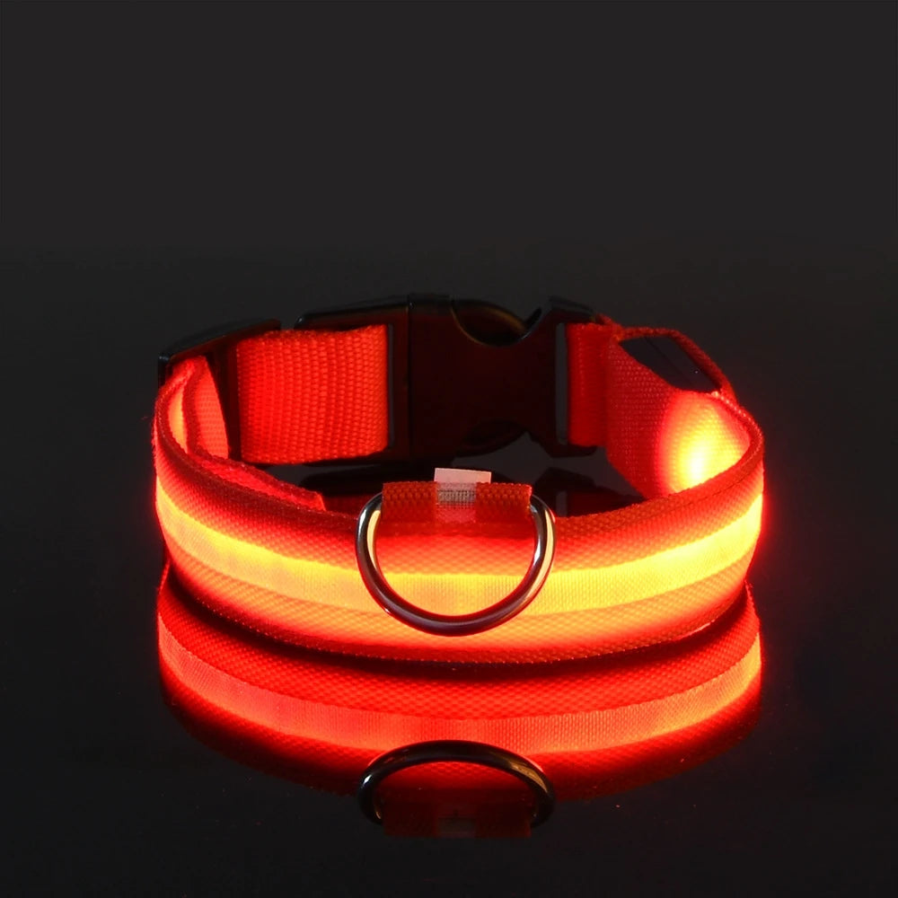 💡 GlowSafe™ LED Night Dog Collar – Flashing Luminous Safety Leash
