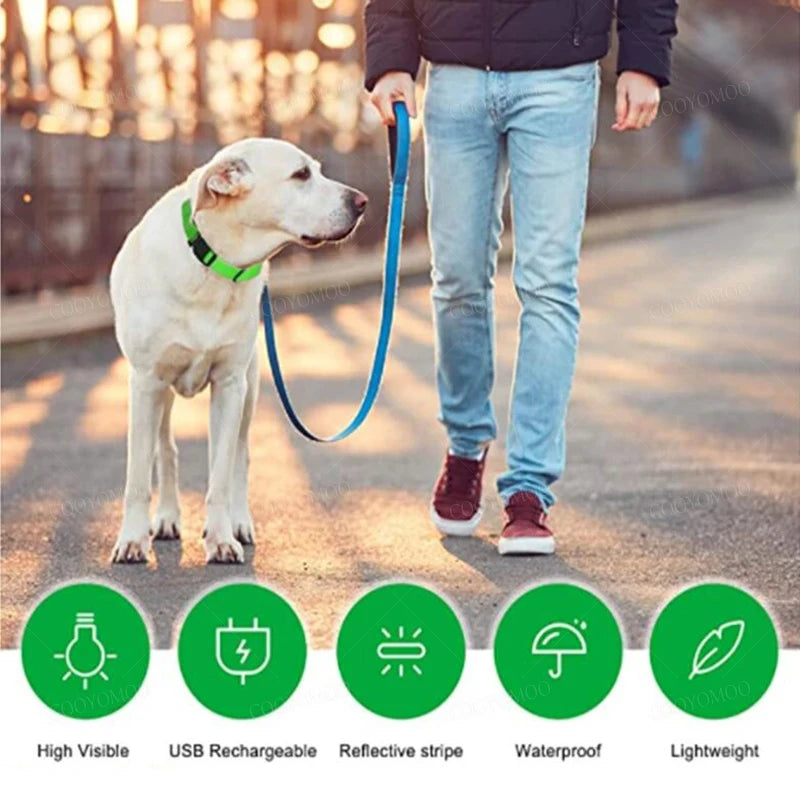 🐶 Quick Release Nylon Dog Collar – Durable Everyday Pet Collar