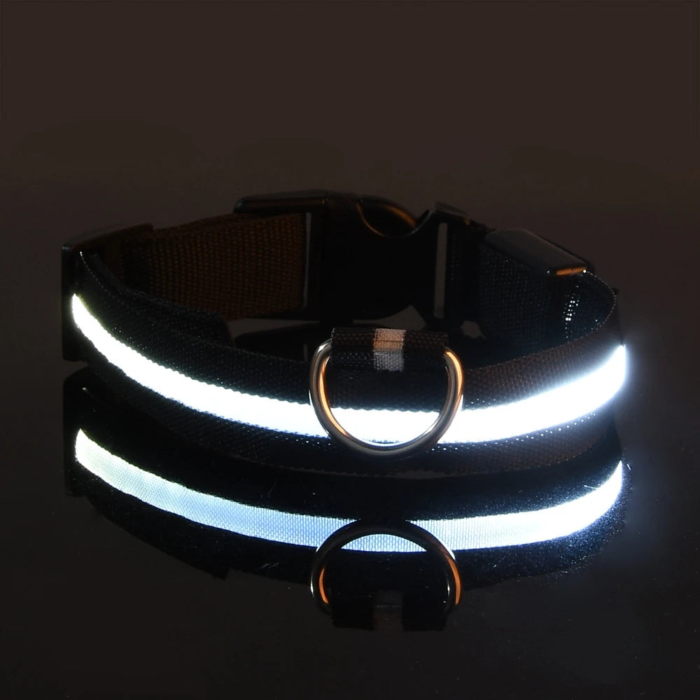 💡 GlowSafe™ LED Night Dog Collar – Flashing Luminous Safety Leash