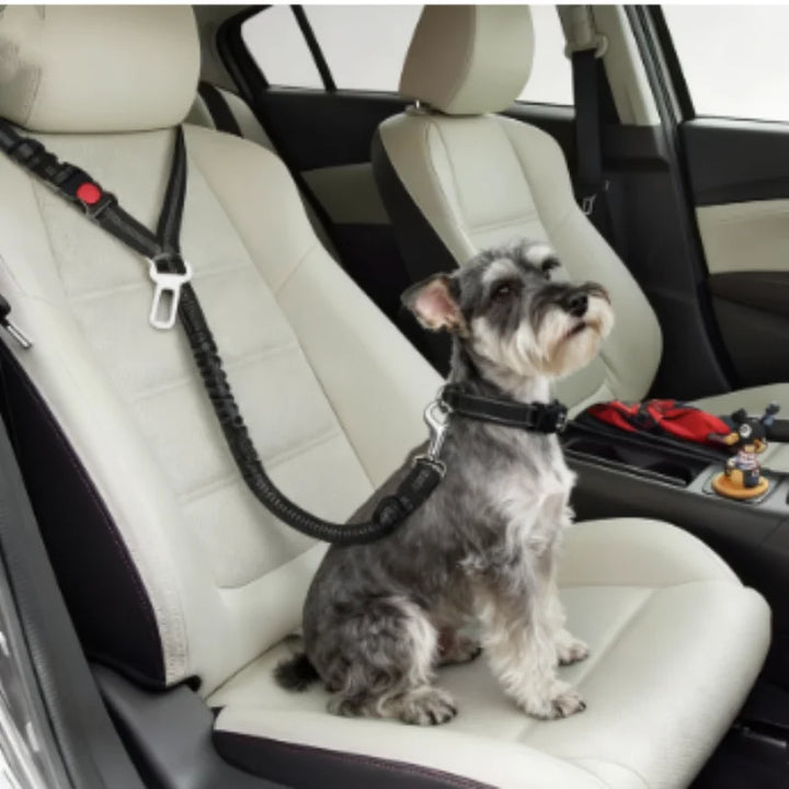 Reflective Pet Car Seat Belt & Harness – Safety Leash for Dogs & Cats