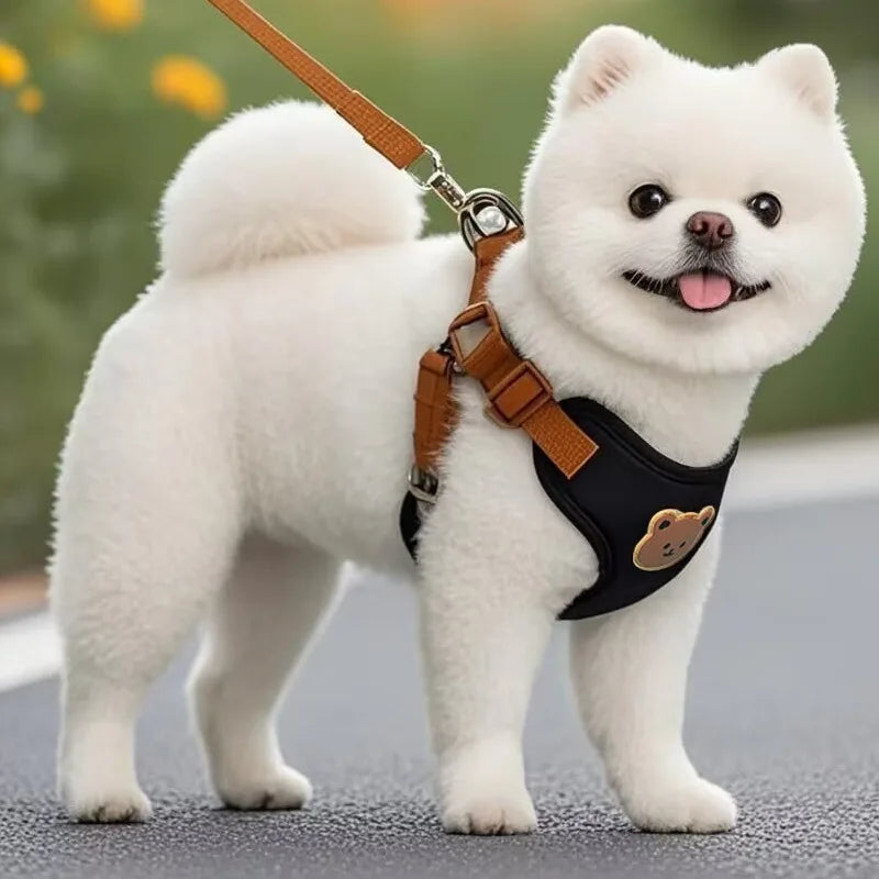 Breathable Pet Harness & Leash Set – Comfortable Vest for Small & Medium Dogs