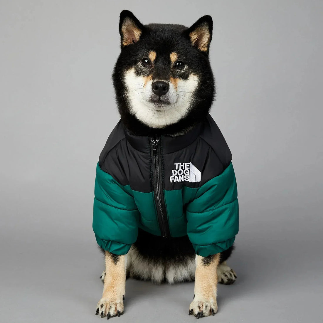 Winter Warm Dog Puffer Coat – Thick Cotton Cold Weather Jacket