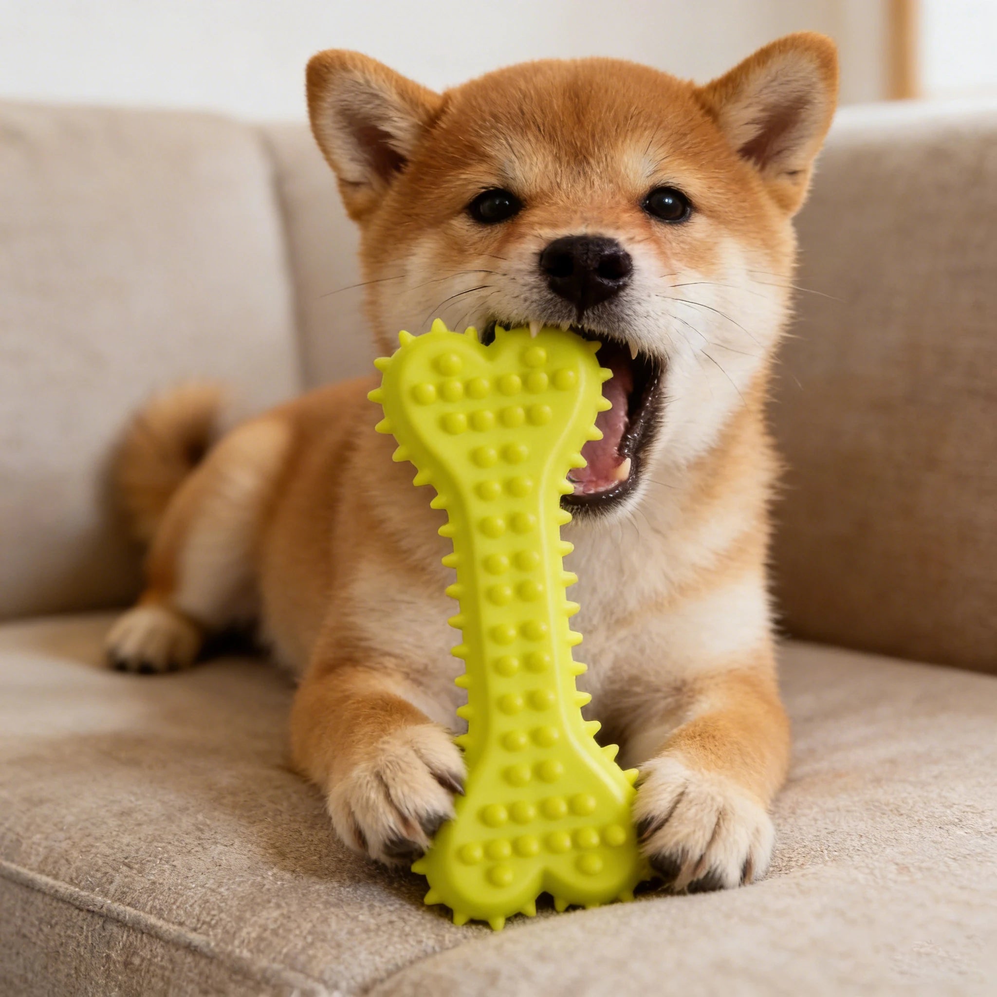Rubber Chew Toy for Dogs – Bite-Resistant Bone Shape for Dental Health