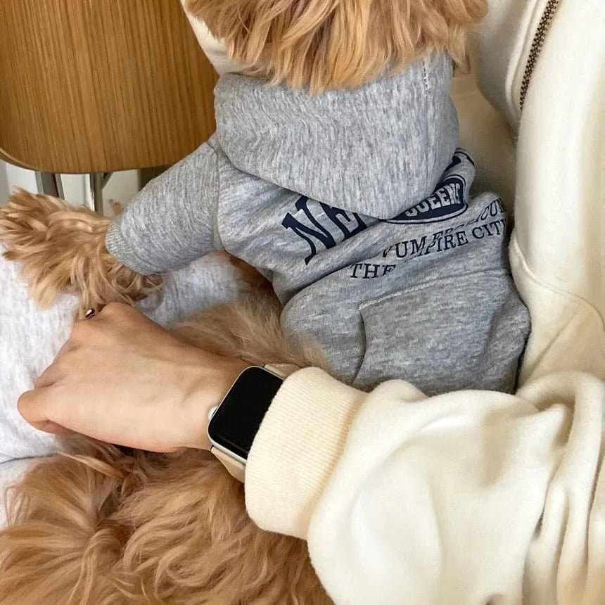 Teddy Letter Print Dog Hoodie – Warm Autumn & Winter Sweatshirt