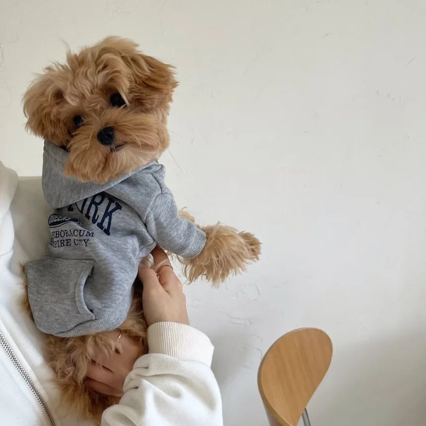 Teddy Letter Print Dog Hoodie – Warm Autumn & Winter Sweatshirt