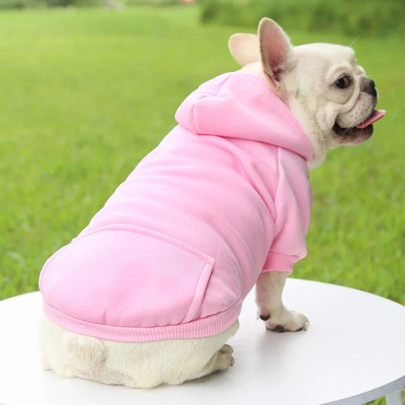 Solid Hooded Dog Sweater – Warm Autumn & Winter Pet Hoodie