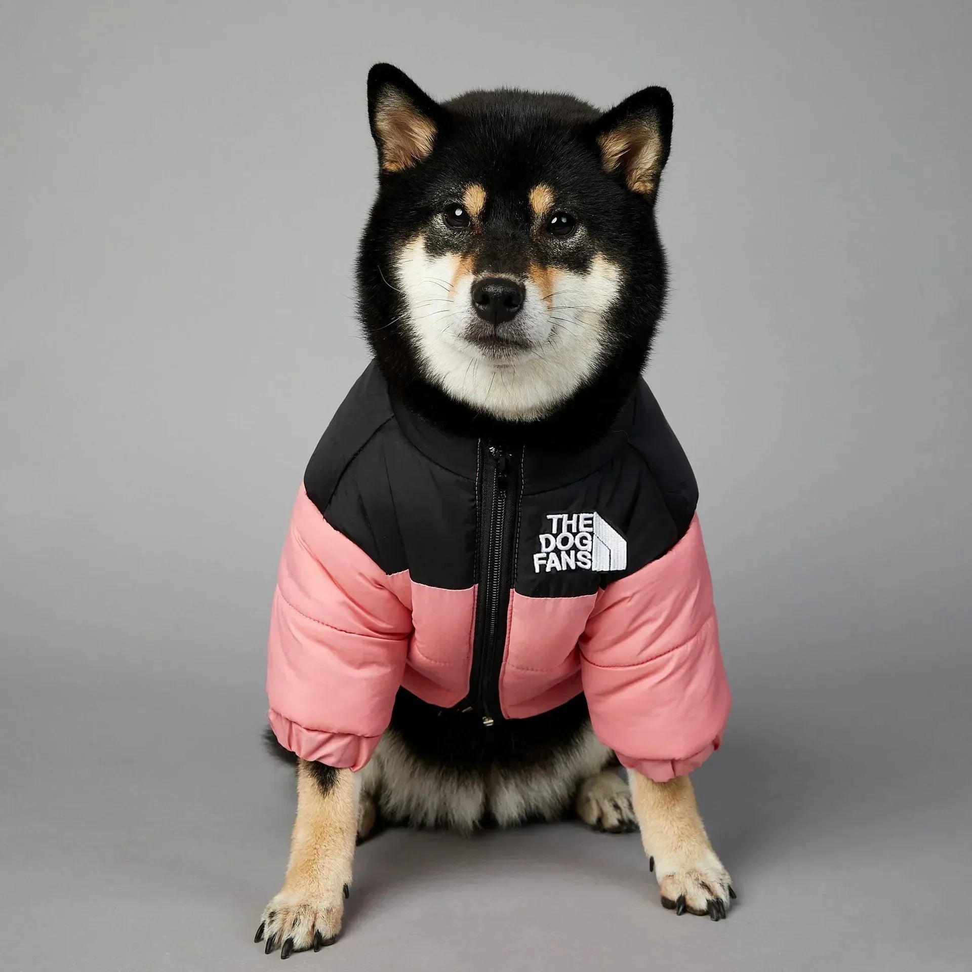 Winter Warm Dog Puffer Coat – Thick Cotton Cold Weather Jacket