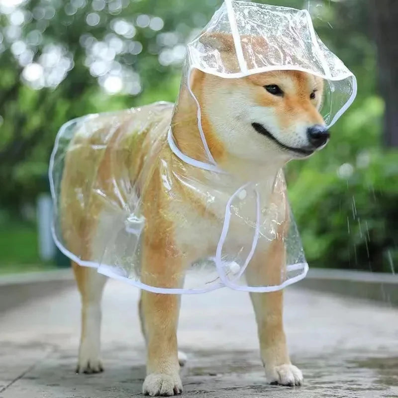 🌧️ ClearView Transparent Dog Raincoat – Lightweight Waterproof