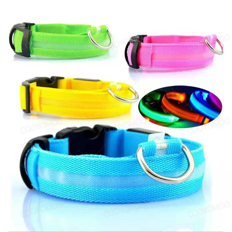 🐶 Quick Release Nylon Dog Collar – Durable Everyday Pet Collar