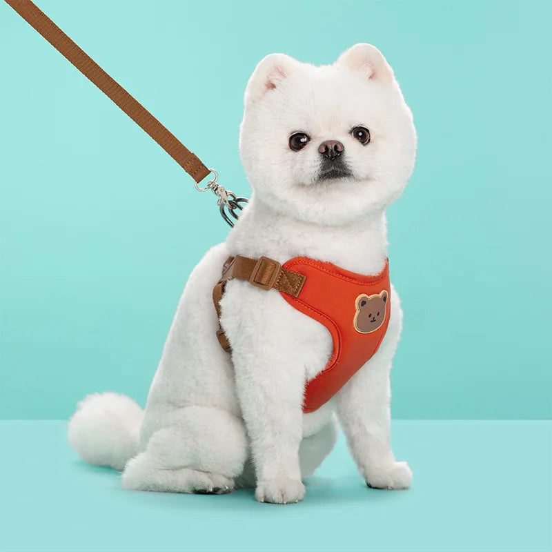 Breathable Pet Harness & Leash Set – Comfortable Vest for Small & Medium Dogs