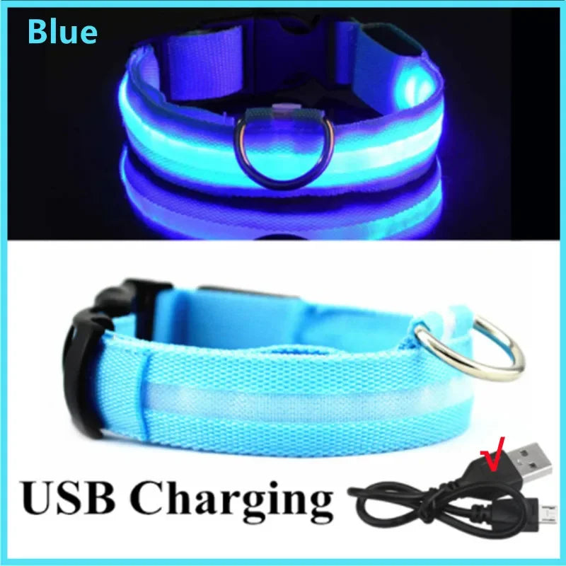 🐶 Quick Release Nylon Dog Collar – Durable Everyday Pet Collar