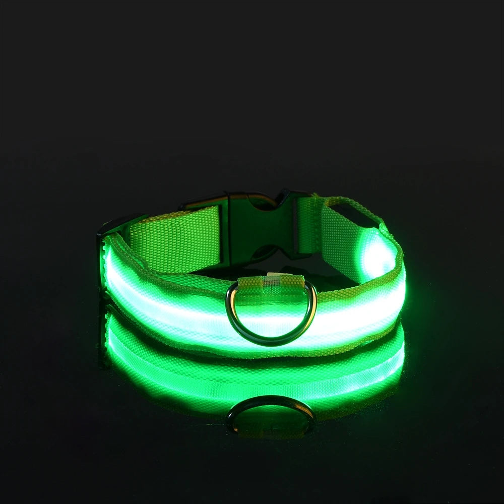 💡 GlowSafe™ LED Night Dog Collar – Flashing Luminous Safety Leash