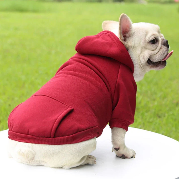 Solid Hooded Dog Sweater – Warm Autumn & Winter Pet Hoodie