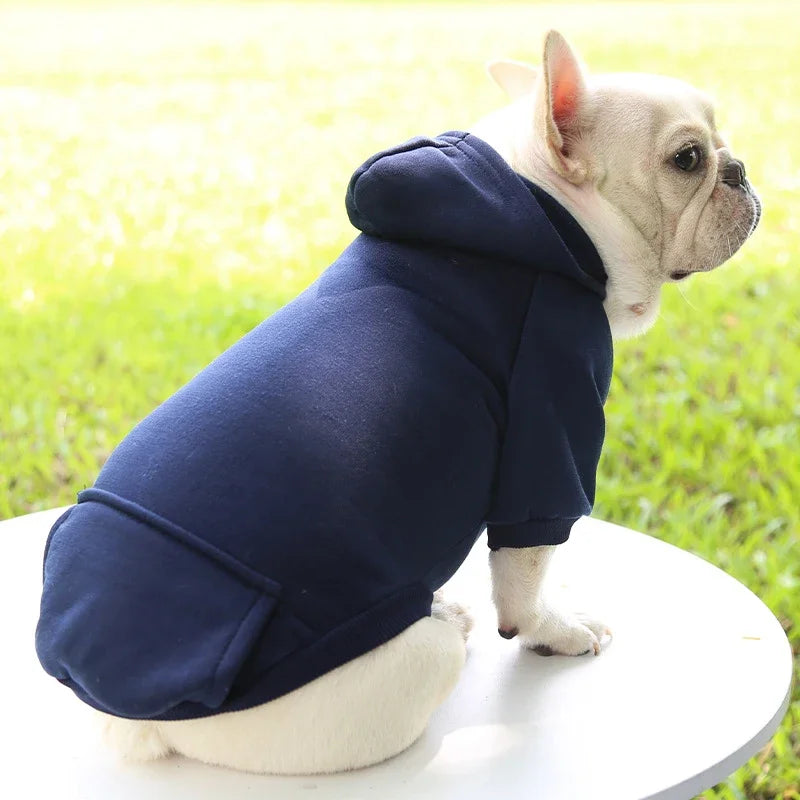 Solid Hooded Dog Sweater – Warm Autumn & Winter Pet Hoodie
