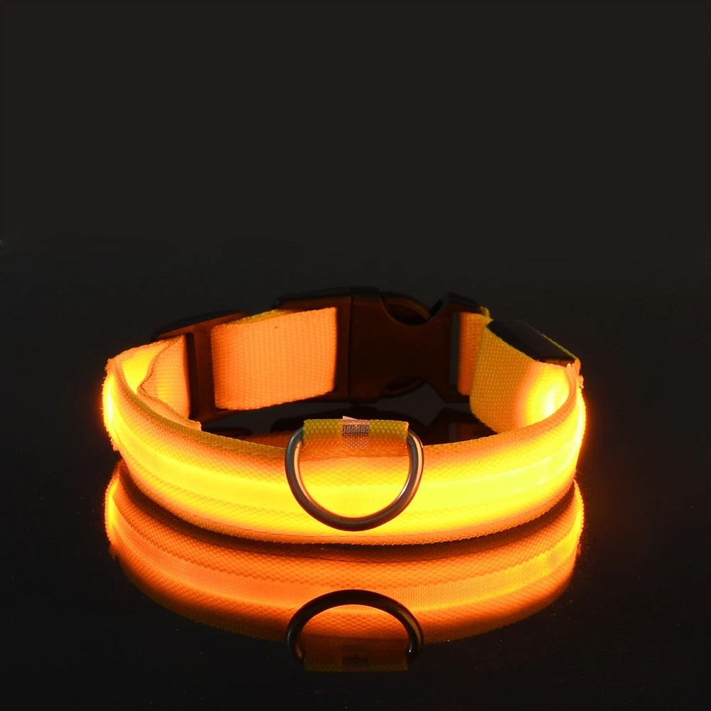 💡 GlowSafe™ LED Night Dog Collar – Flashing Luminous Safety Leash