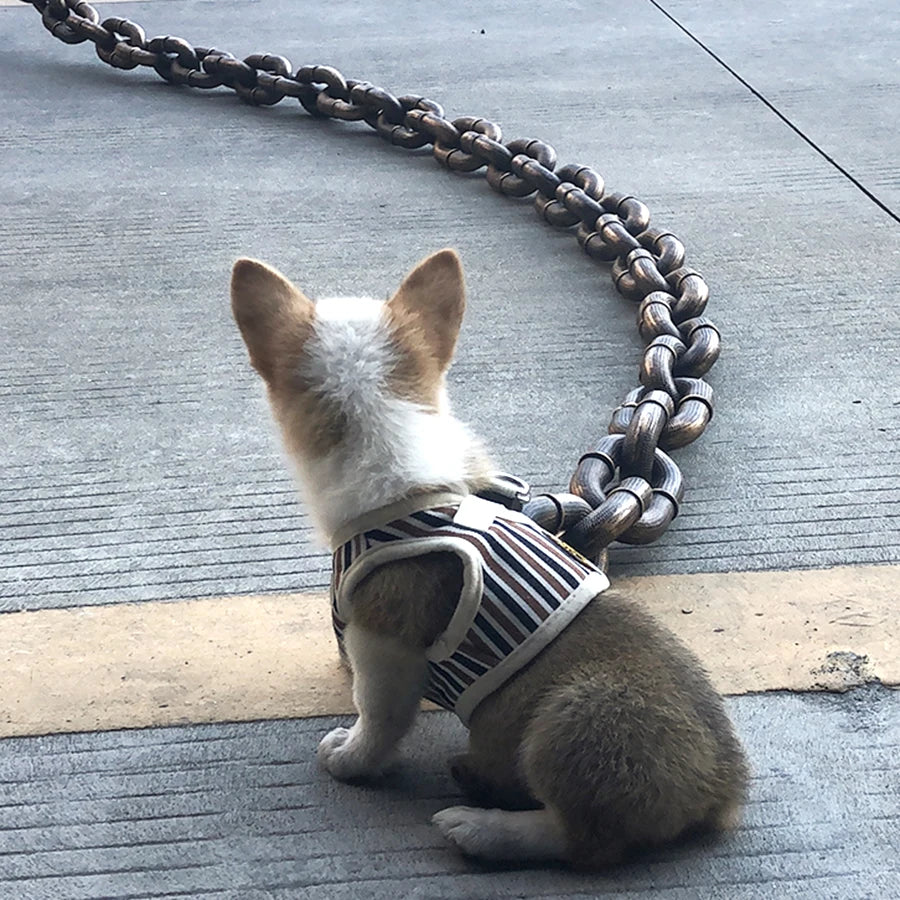🔗 Iron Chain Style Dog Leash – Durable Funny Outdoor Traction Rope