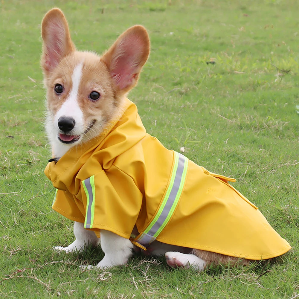 🌦️ Corgi Cloak Dog Raincoat – Waterproof & Reflective Outdoor Jacket