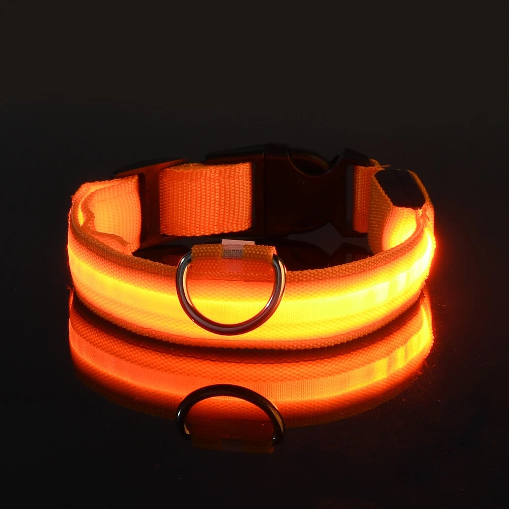 💡 GlowSafe™ LED Night Dog Collar – Flashing Luminous Safety Leash
