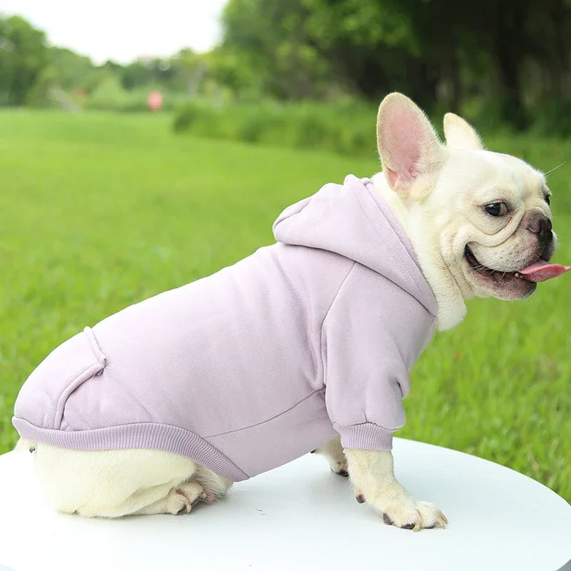 Solid Hooded Dog Sweater – Warm Autumn & Winter Pet Hoodie