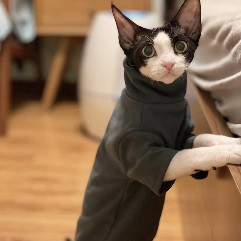 Soft Cotton Hairless Pet Hoodie – All-Season Comfort Wear