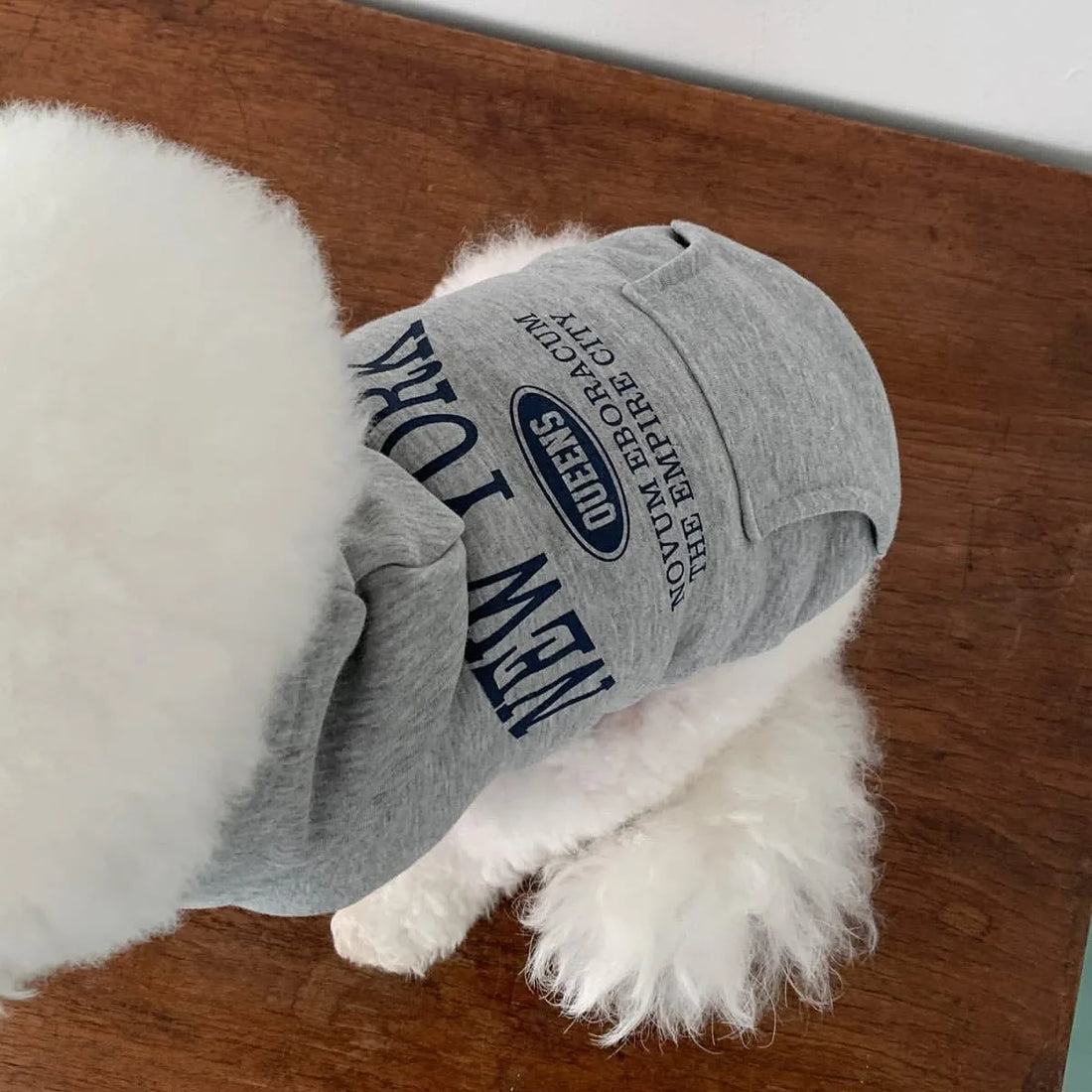 Teddy Letter Print Dog Hoodie – Warm Autumn & Winter Sweatshirt