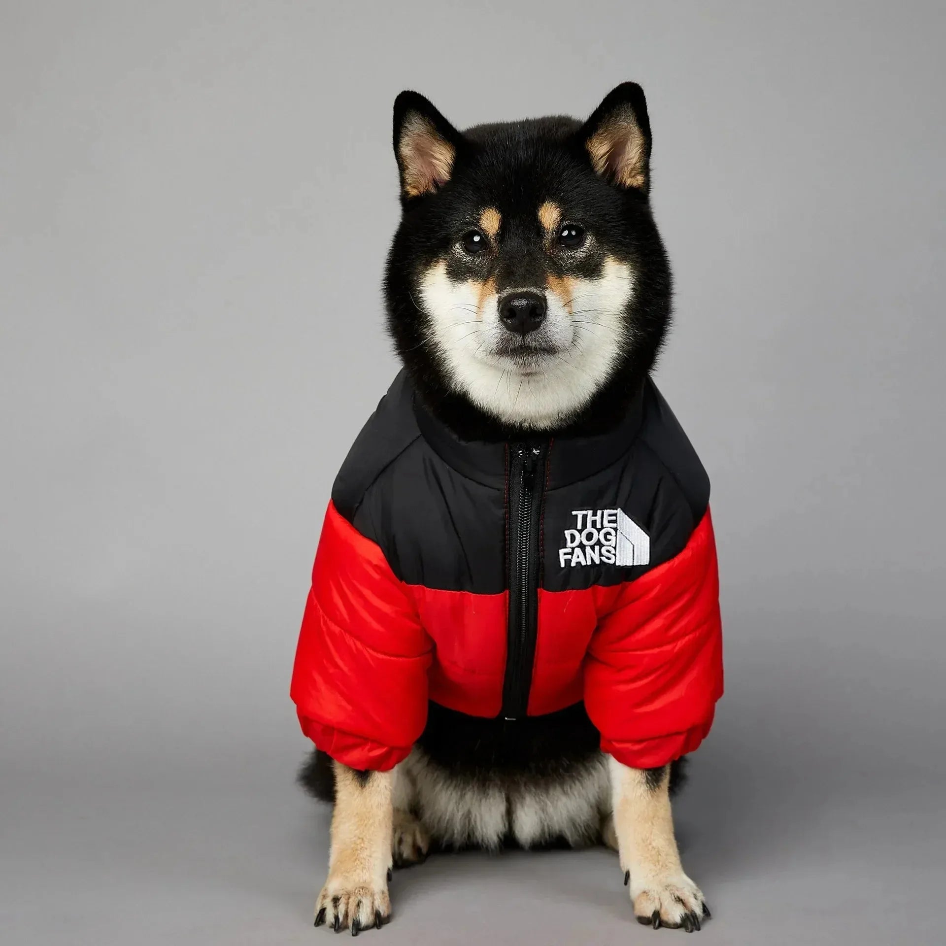 Winter Warm Dog Puffer Coat – Thick Cotton Cold Weather Jacket