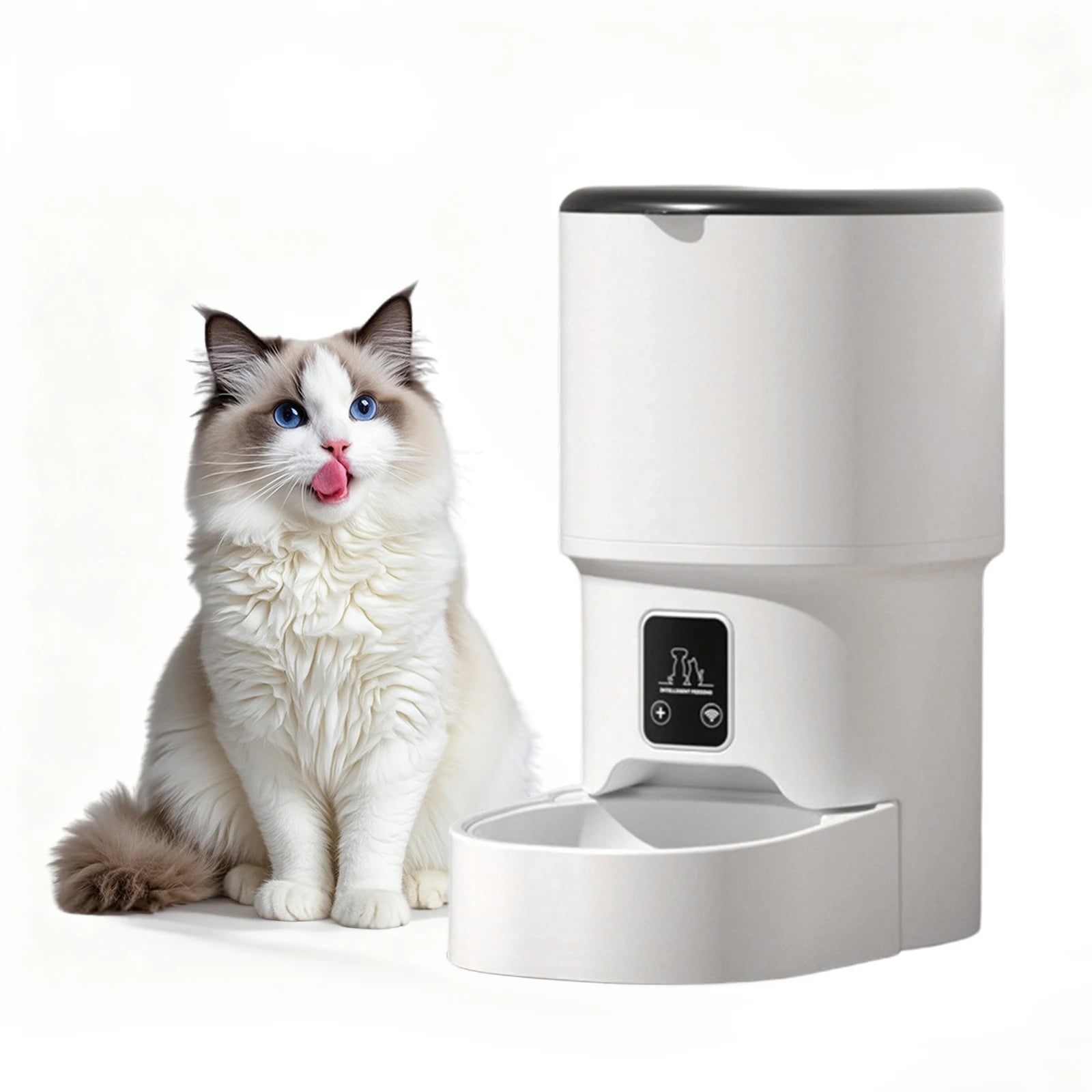 4L Programmable Automatic Pet Feeder – Timer & Portion Control for Cats & Small Dogs