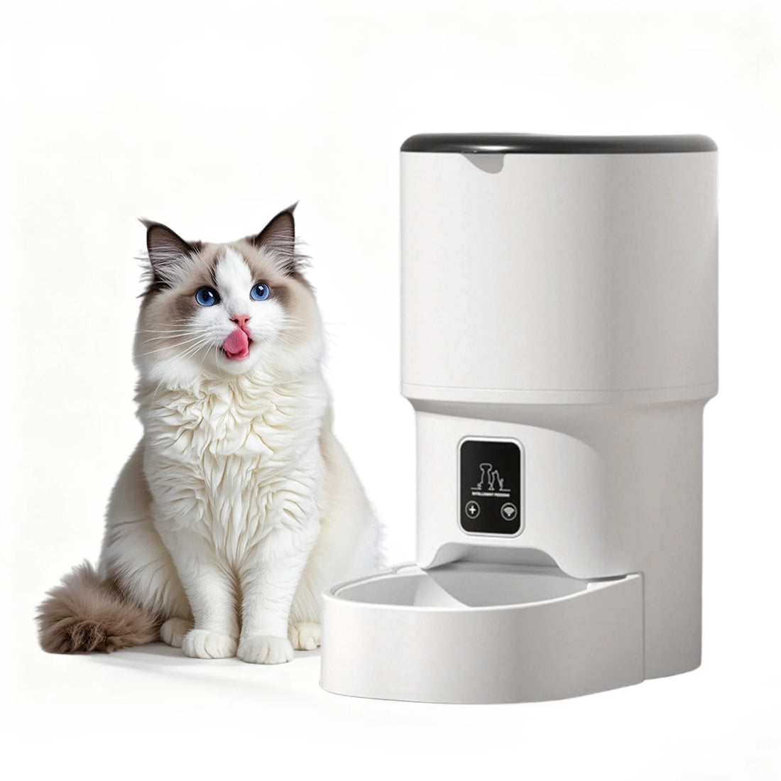 4L Programmable Automatic Pet Feeder – Timer & Portion Control for Cats & Small Dogs