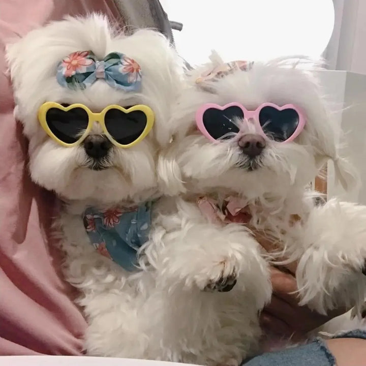 🕶️ Love Heart Pet Sunglasses – Fashion Cat & Dog Glasses with Jewelry Design