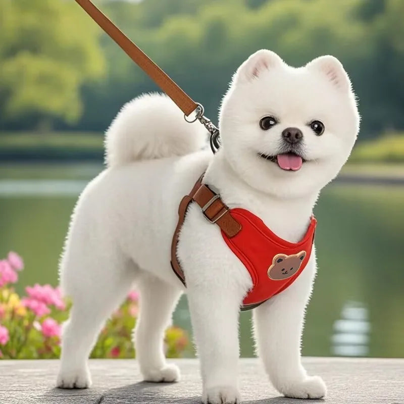 Breathable Pet Harness & Leash Set – Comfortable Vest for Small & Medium Dogs