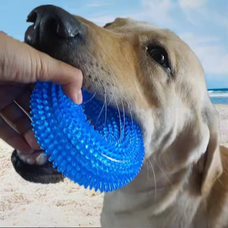 Dog Chew Toy – Thorn Ring for Teeth Cleaning & Interactive Play