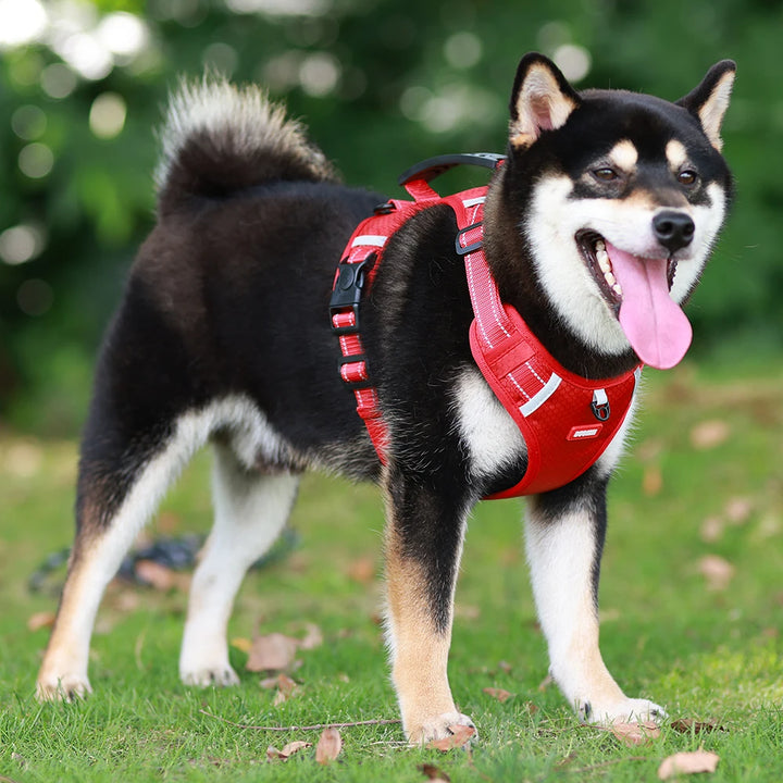 🐶 Reflective Vest Dog Harness – Breathable Anti-Pull Chest Strap