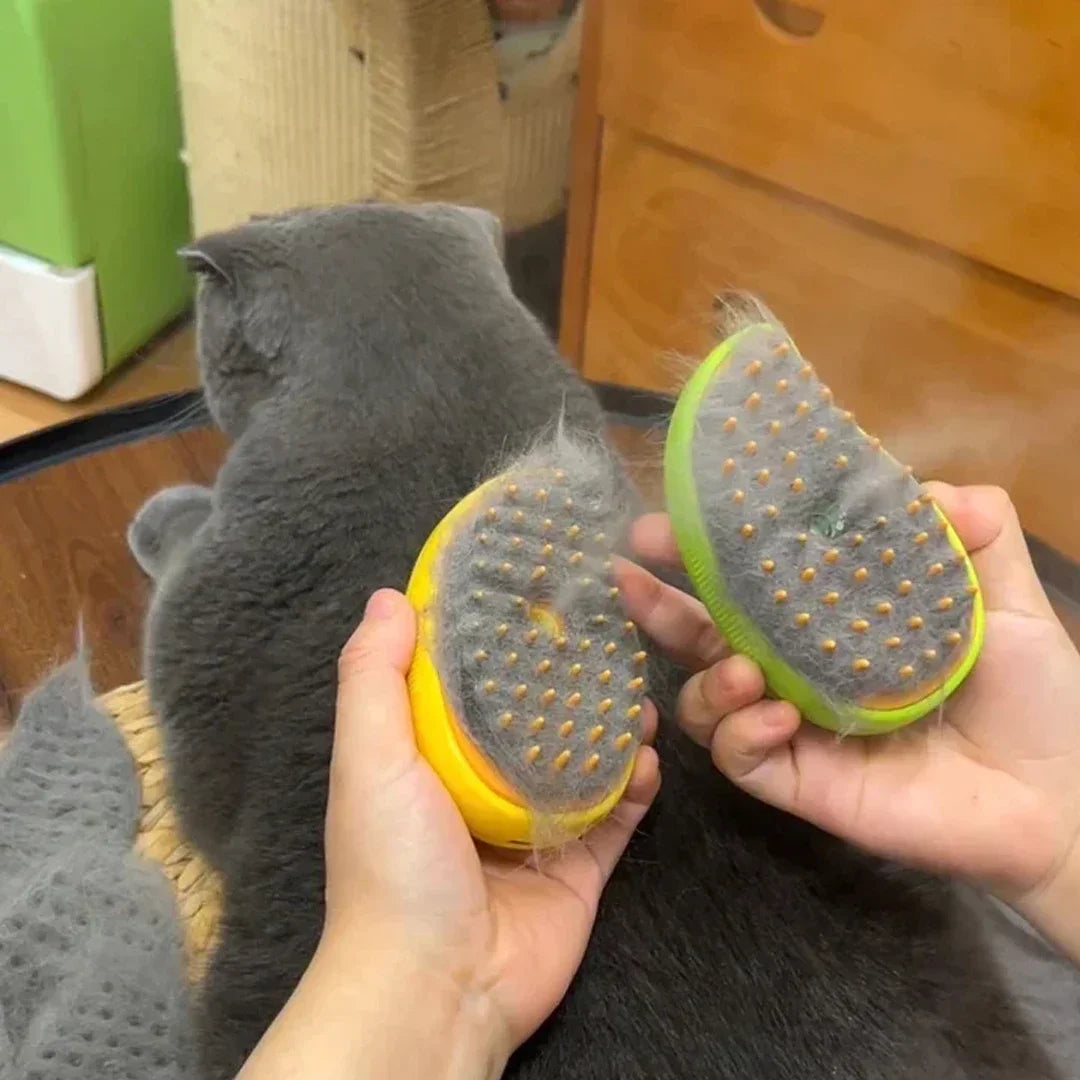 3-in-1 Electric Steam Pet Brush