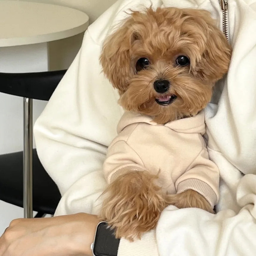 Teddy Letter Print Dog Hoodie – Warm Autumn & Winter Sweatshirt
