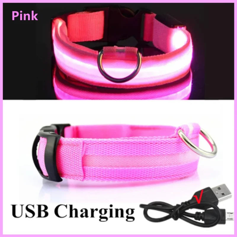 🐶 Quick Release Nylon Dog Collar – Durable Everyday Pet Collar