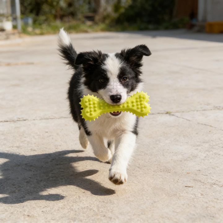Rubber Chew Toy for Dogs – Bite-Resistant Bone Shape for Dental Health