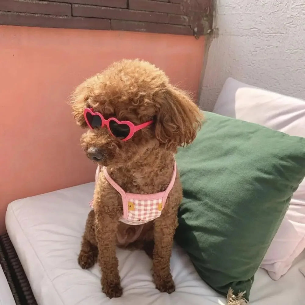 🕶️ Love Heart Pet Sunglasses – Fashion Cat & Dog Glasses with Jewelry Design