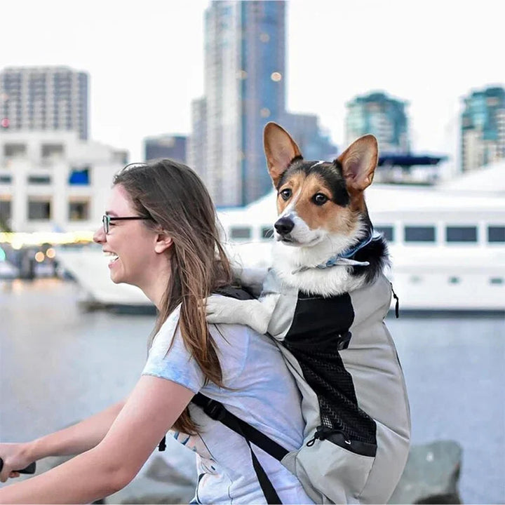 Strong Nylon Dog Carrier Backpack – Breathable Travel & Cycling Bag