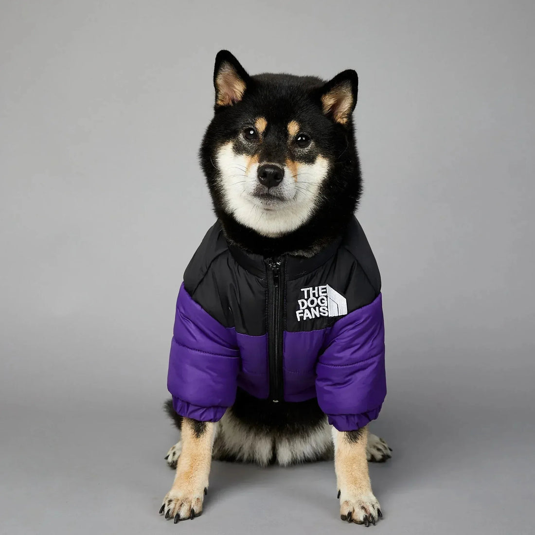 Winter Warm Dog Puffer Coat – Thick Cotton Cold Weather Jacket