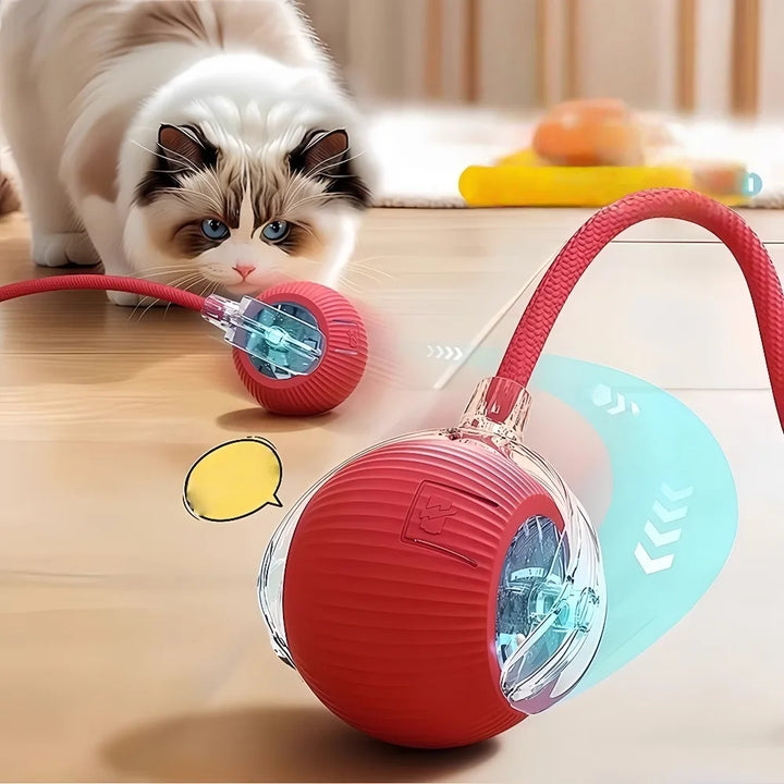 Automatic Dog Walking Ball – Electric Interactive Toy for Dogs & Cats