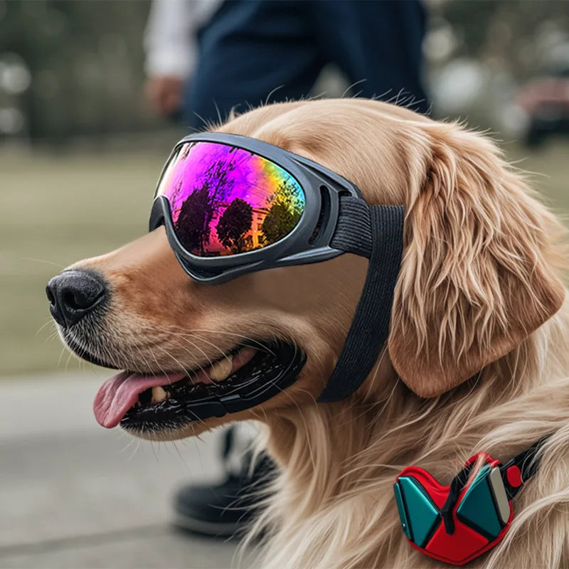 🕶️ UV Protection Dog Goggles – Windproof Outdoor Pet Sunglasses