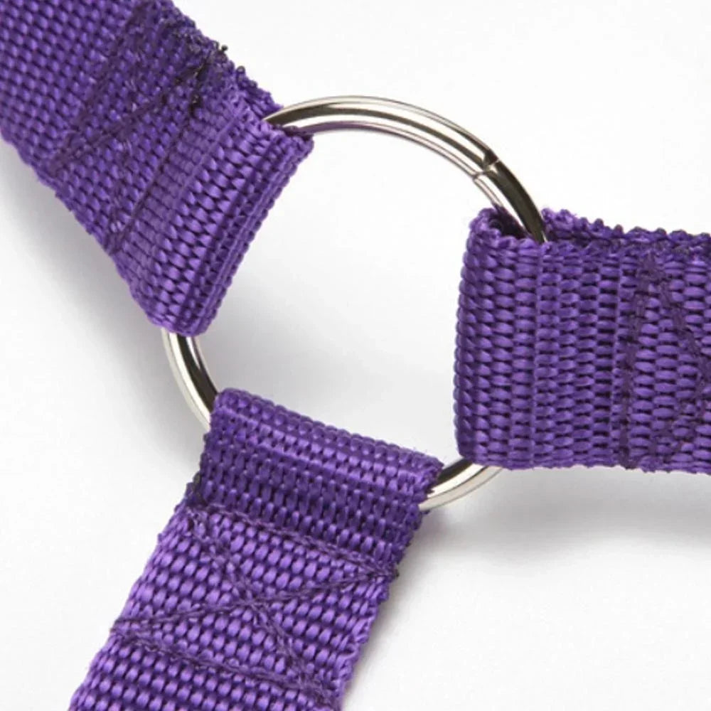 Adjustable Pet Car Seat Belt – Safety Harness Leash for Dogs & Cats