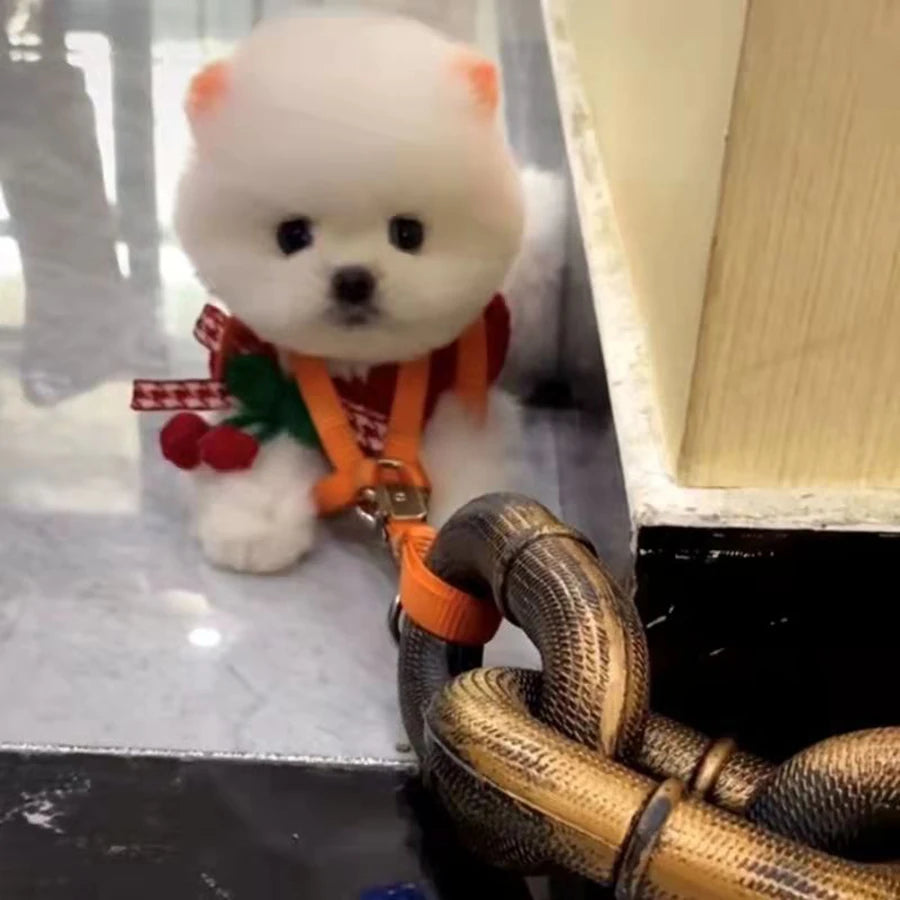 🔗 Iron Chain Style Dog Leash – Durable Funny Outdoor Traction Rope