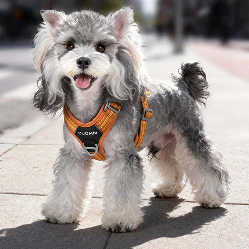 Reflective Adjustable Dog Harness – Explosion-Proof Safety Vest