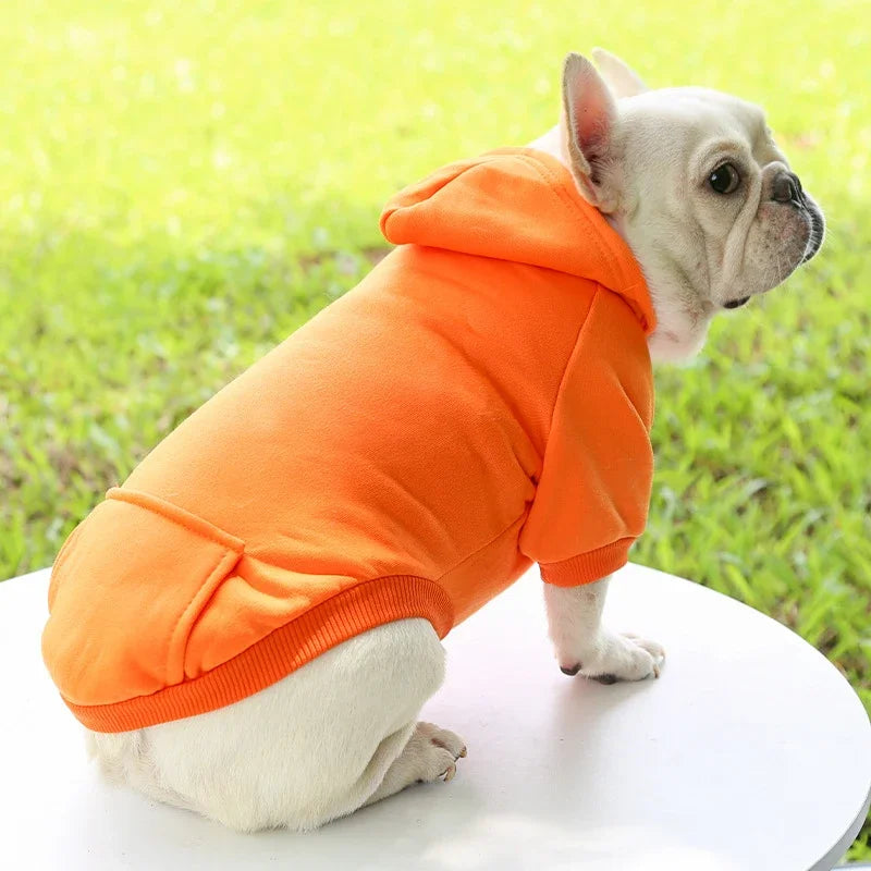 Solid Hooded Dog Sweater – Warm Autumn & Winter Pet Hoodie