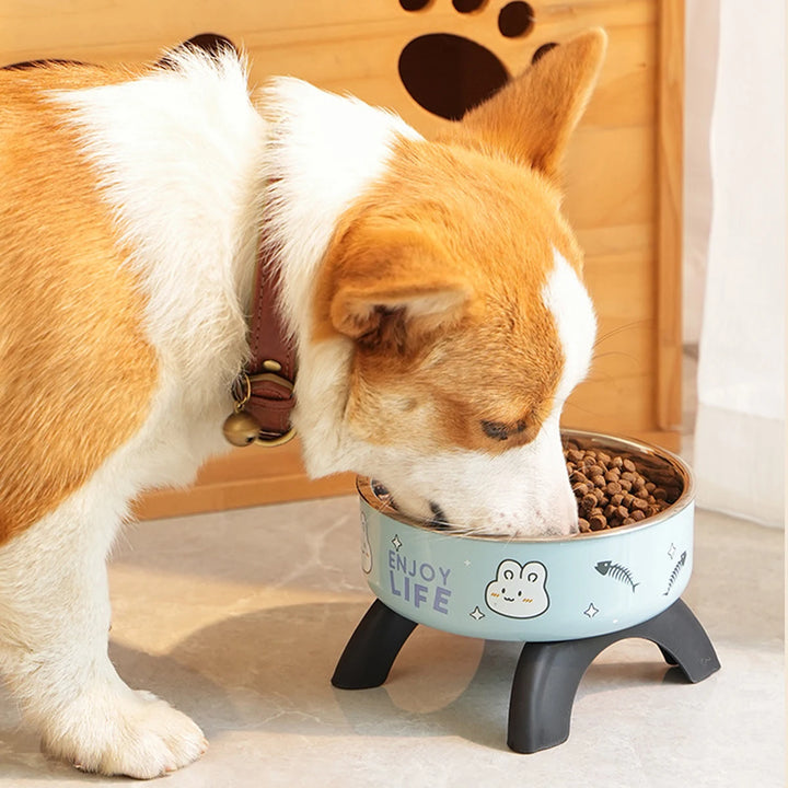 Elevated Pet Food & Water Bowl – Anti-Slip Raised Stainless Steel Feeding Stand